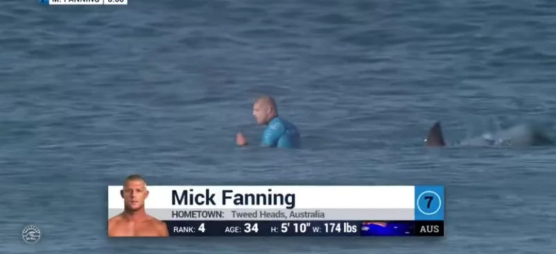 Mick Fanning aangevallen door haai