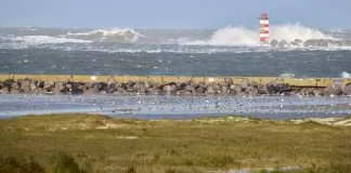 big waves holland