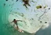 eco friendly surfer