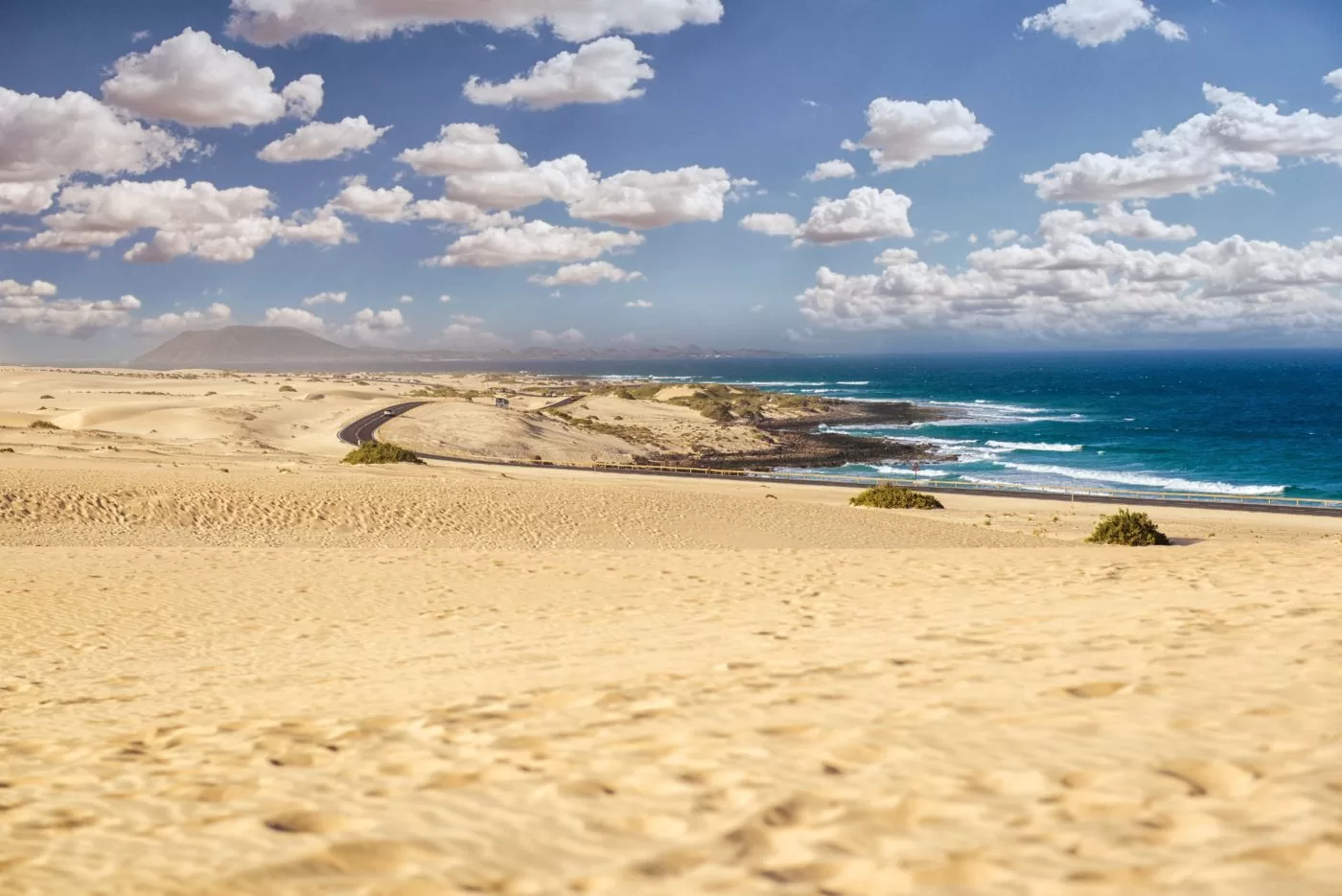 surf fuerteventura