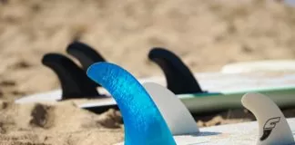 vinnen surfboard