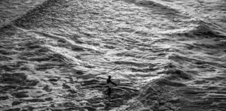 surfers omgekomen scheveningen