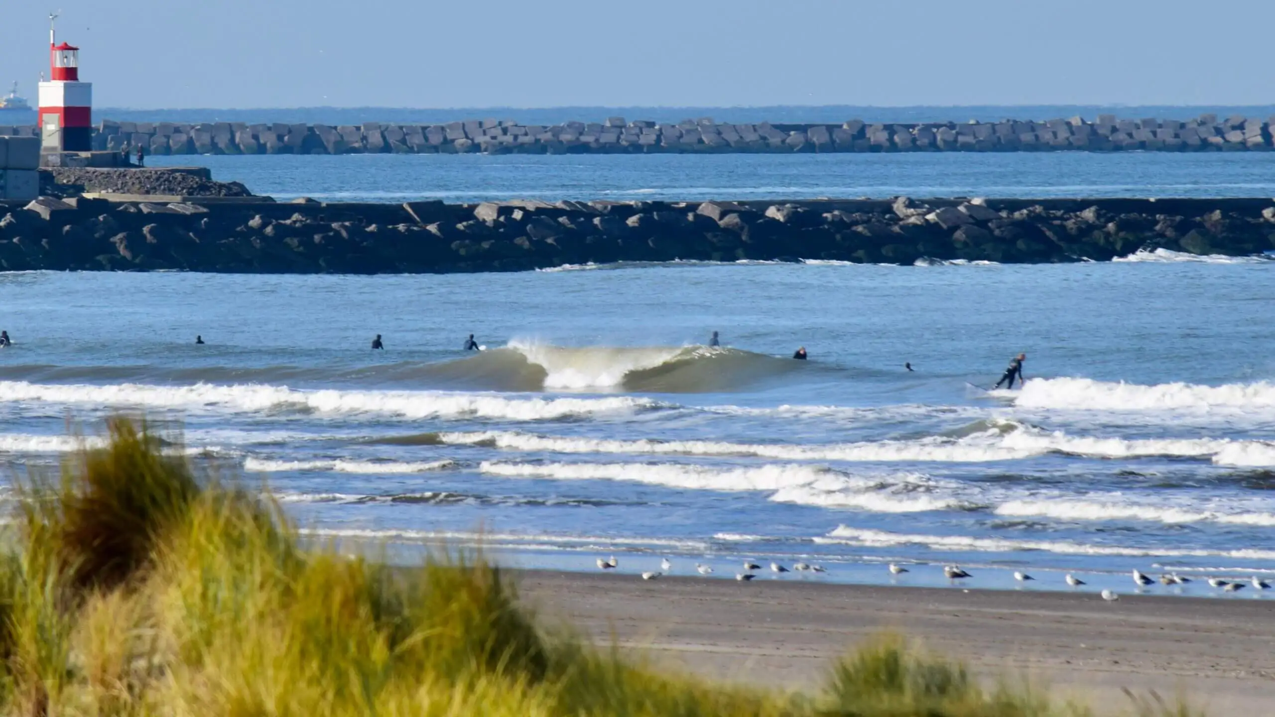 Surfen Wijk aan Zee oktober 2022