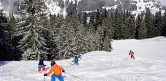 familie skigebieden