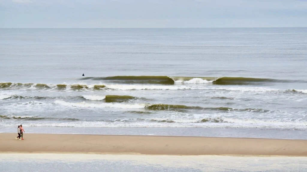 surfen Parnassia