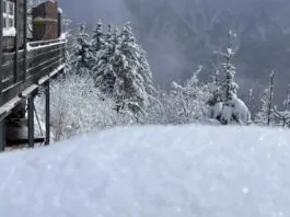 SNEEUW