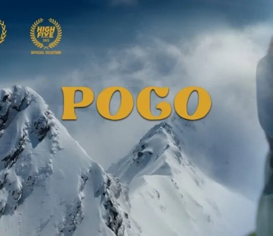 pogo hidden faces movie
